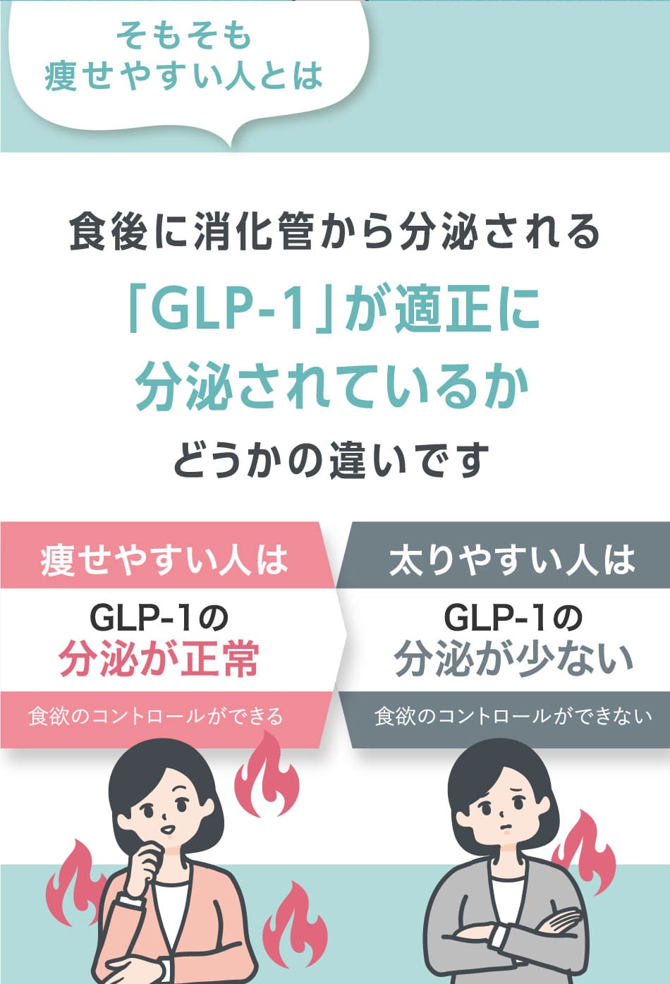 そもそも痩せやすい人とは 食後に消化管から分泌される「GLP-1」が適正に分泌されているかどうかの違いです