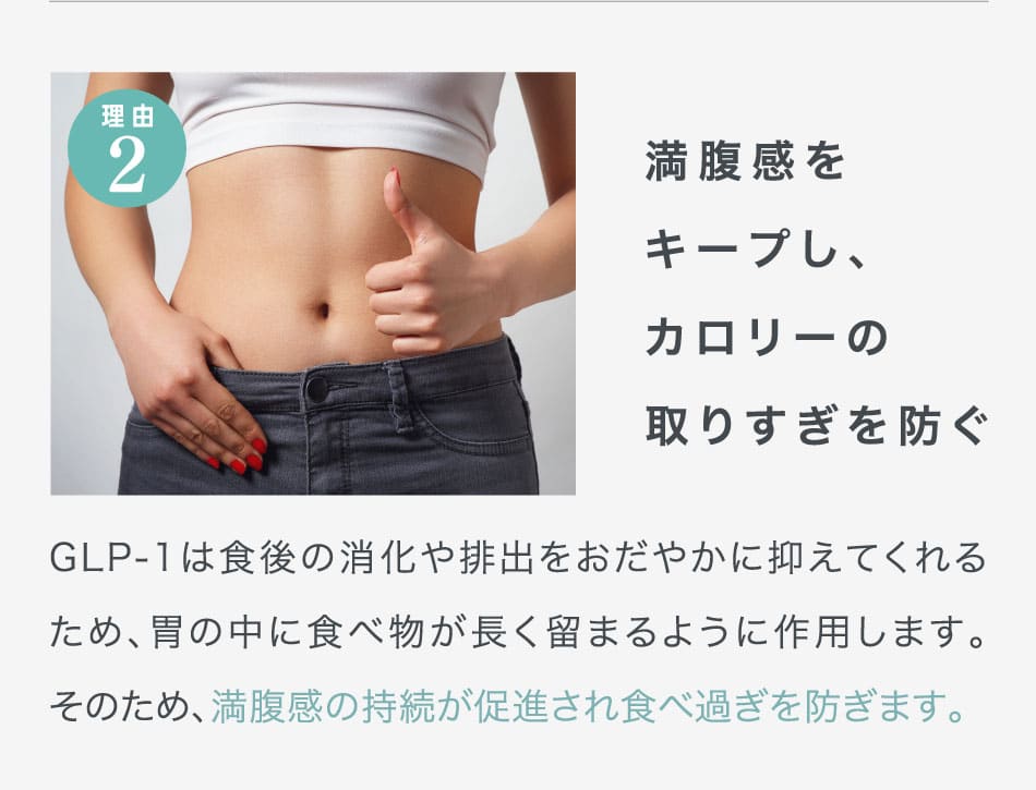 満腹感をキープし、カロリーの取りすぎを防ぐ GLP-1は食後の消化や排出をおだやかに抑えてくれるため、胃の中に食べ物が長く留まるように作用します。そのため、満腹感の持続が促進され食べ過ぎを防ぎます。